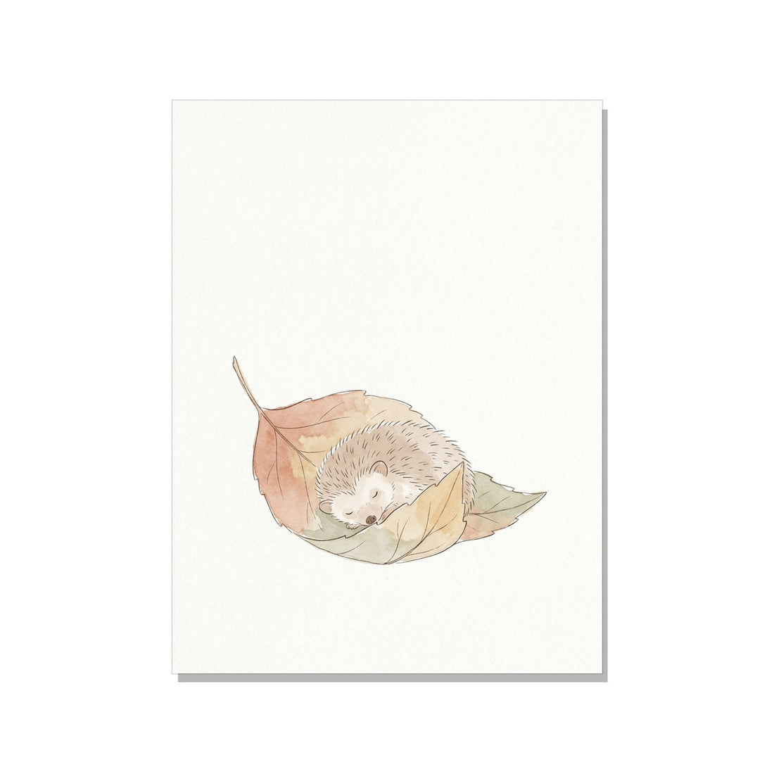 Affiche chambre bébé hérisson – Aquarelle terracotta - vue 1